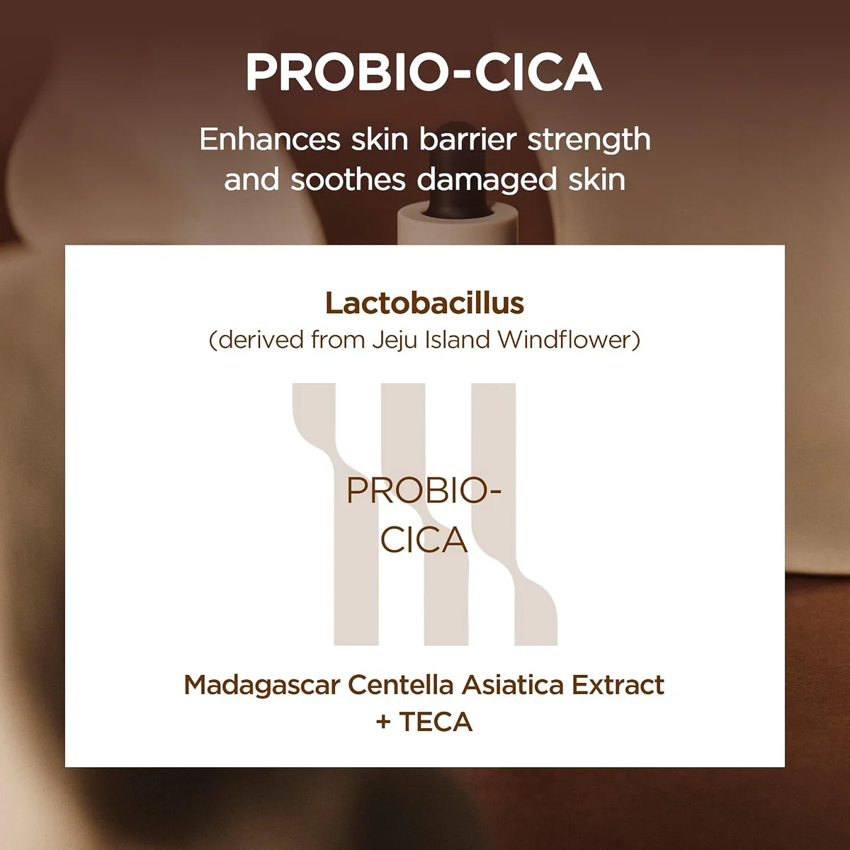 آمپول تقویت سد پوست اسکین 1004 SKIN1004 Probio-Cica Intensive حجم 50 میلی‌لیتر؛ نمای تکمیلی 7